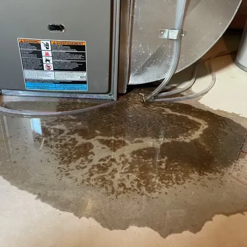 Appliance Leak Cleanup in Mount Prospect, IL